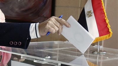 “140 مقر انتخابي في 124 دولة”.. الخارجية تكشف تفاصيل تصويت المصريين بالخارج (فيديو)