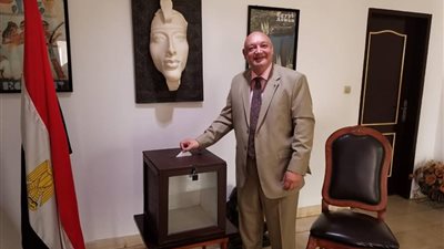 المصريون في الكاميرون يبدأون الاستفتاء على التعديلات الدستورية