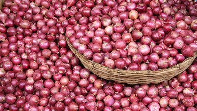 كواليس زيارة وفد وزاري إلى السعودية لحل أزمة الحظر على البصل المصري