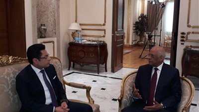 علي عبد العال: الدستور المصري من ضمن الدساتير “الجامدة”