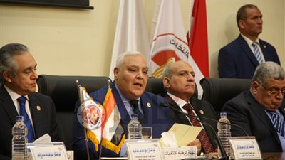 “الوطنية للانتخابات”: التقاط الصور لبطاقات الاستفتاء جريمة سيتم التعامل معها