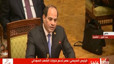 نص كلمة السيسي في الجلسة الافتتاحية لاجتماع القمة التشاوري للشركاء الإقليميين للسودان