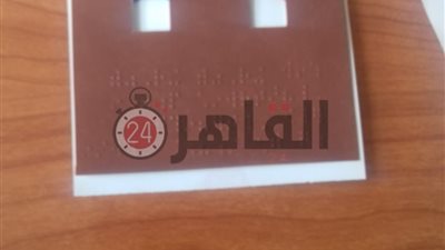 البعثة الدولية: برايل أهم تطورات الاستفتاء المصرى.. والمراقبين الأفارقة انبهروا