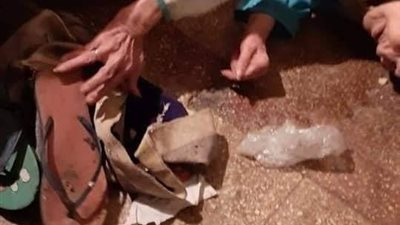 بعد محاصرة الديدان لها.. التضامن تنقذ سيدة عجوز بالإسكندرية (صور)