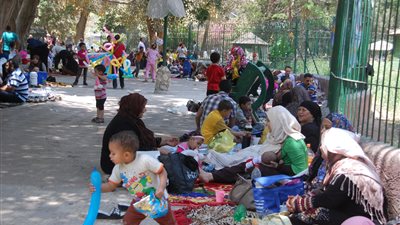 “الخدمات البيطرية”: لا زيادة في أسعار تذاكر حديقة الحيوان بمناسبة شم النسيم