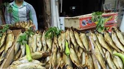 الدنيا ربيع.. تعرف على أسعار فسيخ ورنجة اليوم 29-4-2019