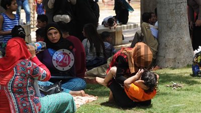 هل أكل الفسيخ ومظاهر احتفال شم النسيم حلال أم حرام؟.. “الإفتاء” تجيب