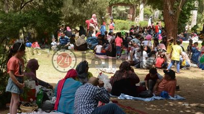 مشاهد من احتفالات المصريين بشم النسيم في حديقة الأورمان