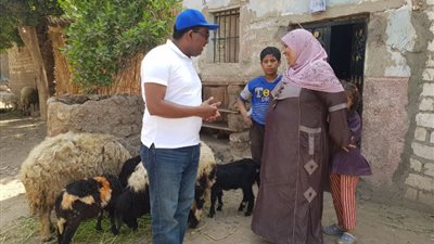 تفاصيل تسليم 80 مشروعاً لتسمين الماعز والعجول لسيدات “الصعيد” لتحسين الأمن الغذائي