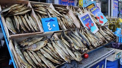 تعرف على أسعار الفسيخ والرنجة في المناطق الشعبية والراقية