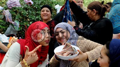 المصريون تناولوا أكثر من 109 طن أسماك مملحة بقيمة 9 مليار جنيه في شم النسيم