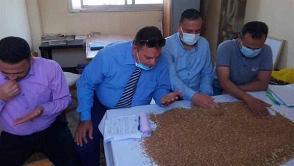 موسم توريد القمح