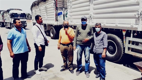 توريد القمح لشون