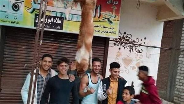 شباب ببني سويف 