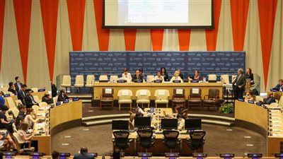 مصر تُنتخب لعضوية هيئتين دوليتين رفيعتي المستوى معنيتين بقضايا المرأة