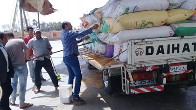 توريد  28880 طن قمح بصوامع وشِوَن القليوبية