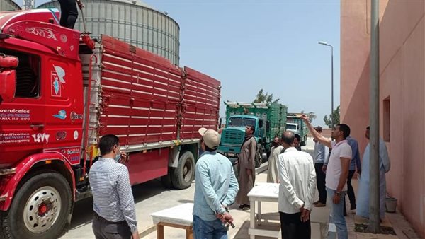 توريد القمح لشون