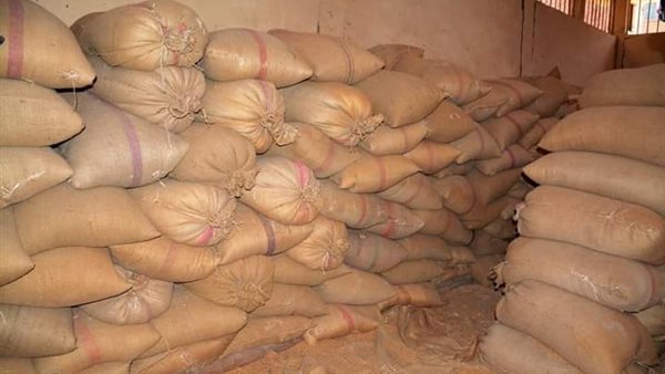 توريد قمح في سوهاج