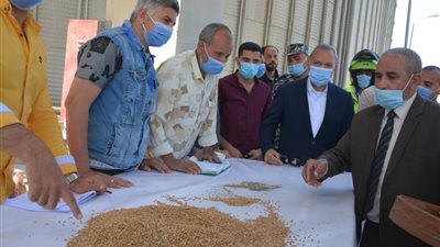 محافظ القليوبية يفتتح موسم القمح بأحد الحقول الاسترشادية (صور) 