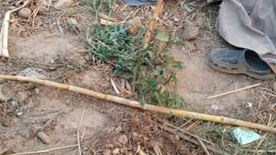 العثور على جثة عجوز مجهول الهوية بقرية الكلاحين في قنا