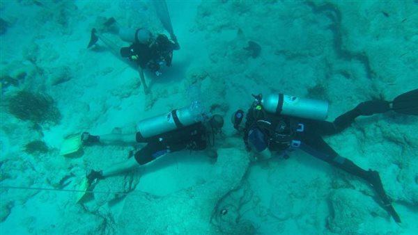 فريق مركز الإسكندرية