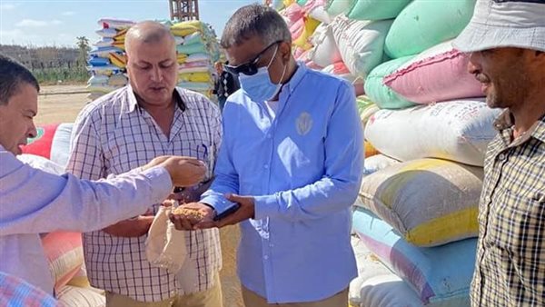 توريد القمح لشون