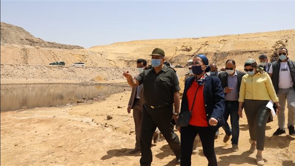 الدكتورة ياسمين فؤاد