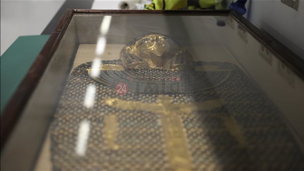 غطاء مومياء في معامل