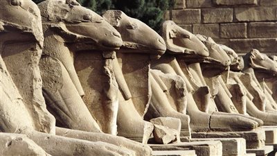 الأعلى للآثار: الانتهاء من إنقاذ جميع تماثيل كباش معابد الكرنك 