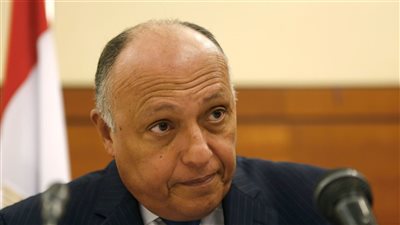 اتفاق مصري أمريكي على التنسيق لإقرار السلام والاستقرار في المنطقة