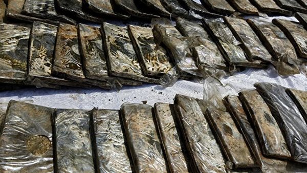 مخدر الحشيش - أرشيفية