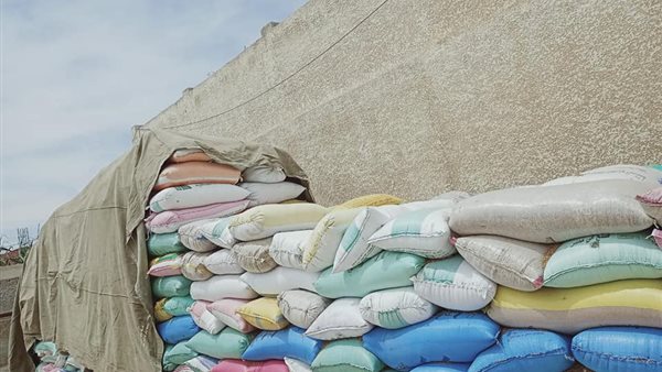 توريد القمح لشون