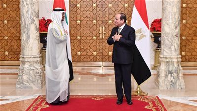 ولي عهد أبو ظبي يجري اتصالاً بالرئيس السيسي ويشيد بجهوده في وقف إطلاق النار بغزة
