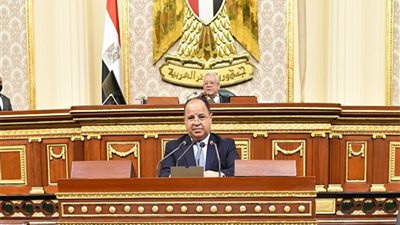 وزيرا المالية والتخطيط أمام مجلس النواب اليوم