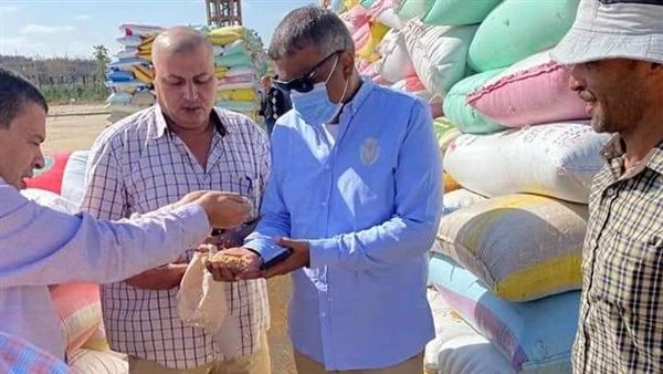 توريد القمح لشون