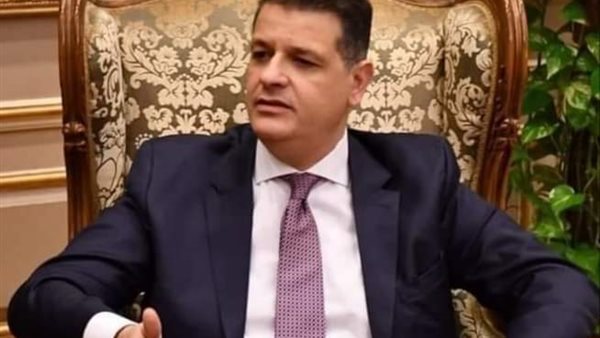 النائب طارق رضوان