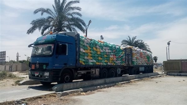 توريد القمح لمصامع