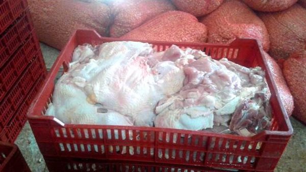 دواجن مخالفة بالشرقية