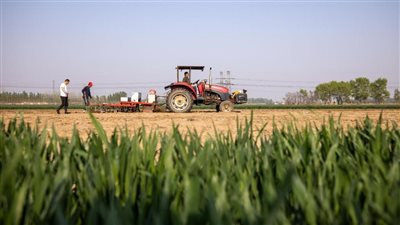 زراعة الفول السوداني تعزز زيادة الدخل الريفي في الصين 