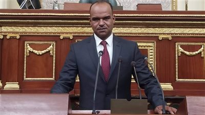 برلماني بأسوان: الموافقة على توصيل الخدمة التليفونية والإنترنت لنجع السايح