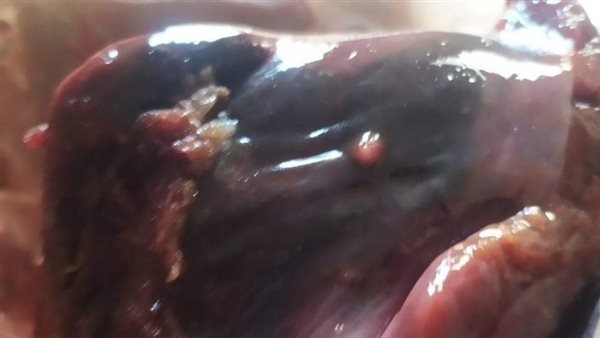 ضبط لحوم مفرومة وكبدة