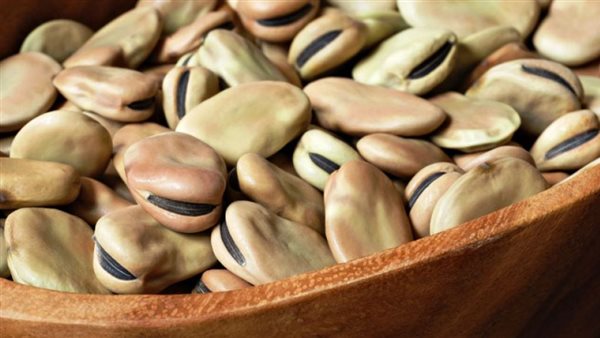 تصدير الفول