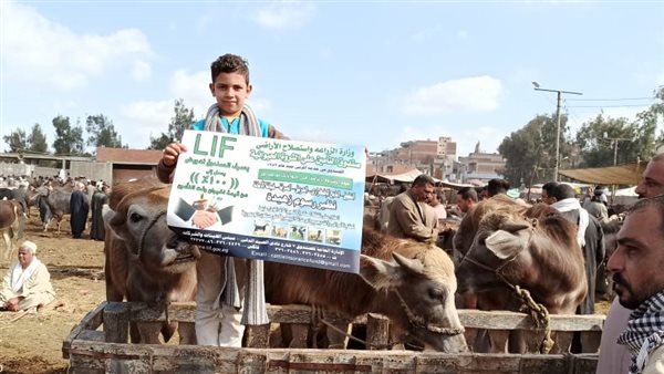 صندوق التأمين على