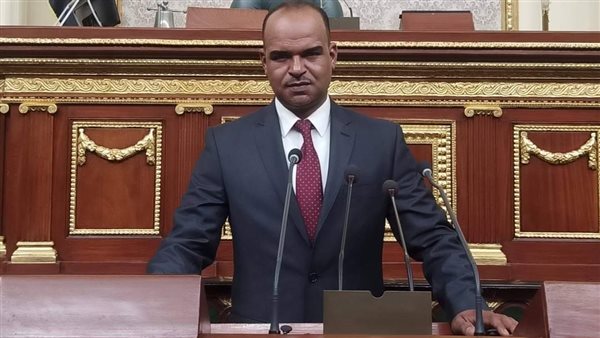 النائب على البدري