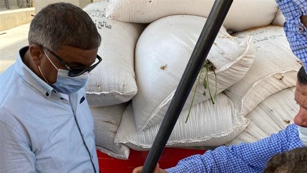 توريد القمح لشون