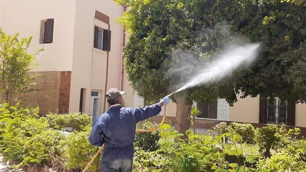 حملة لمقاومة الحشرات