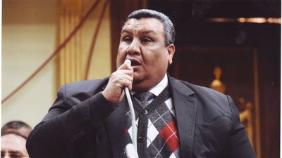 39.4 مليار جنيه.. وكيل خطة النواب يكشف تفاصيل موازنة السكة الحديد