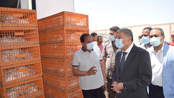 محافظ المنيا يتفقد