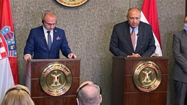 سامح شكري ووزير خارجية