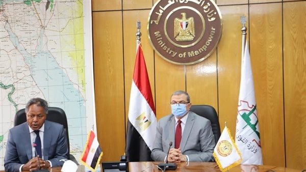 محمد سعفان وزير القوى